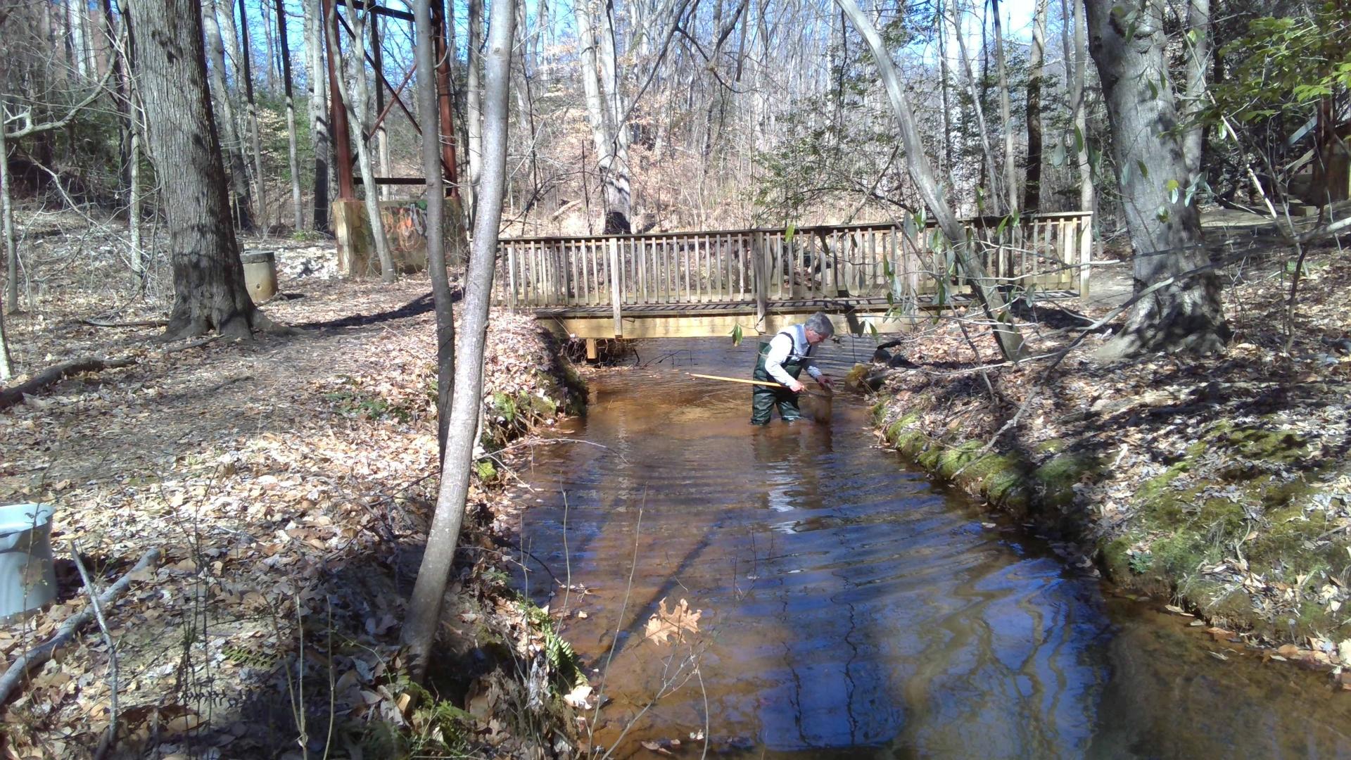 Dividing Creek (DC01 and DC02) Anne Arundel County Government